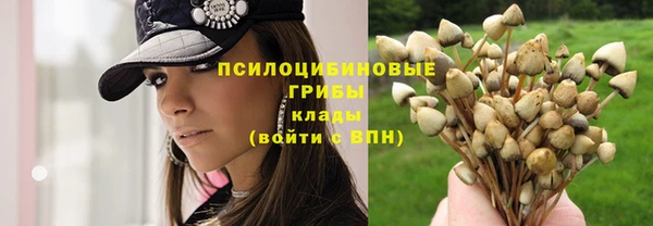 молекула духа Краснотурьинск