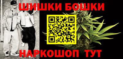 молекула духа Камышлов