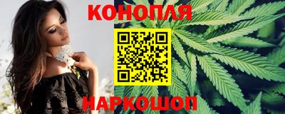 молекула духа Камышлов