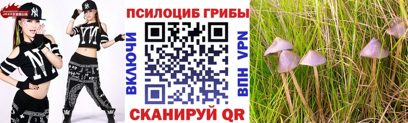 Купить закладки  Лянтор  Галлюциногенные грибы GOLDEN TEACHER 