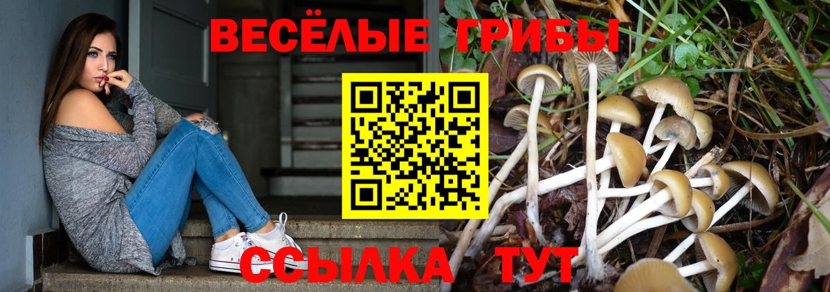 Галлюциногенные грибы Cubensis  Вход с VPN  Лянтор 